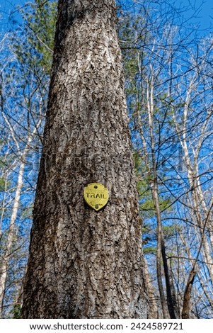 A yellow plastic trail marker nailed to a large tree which identifies what trail and direction to go in the Cumberland mountain state park closeup view on a sunny day in wintertime