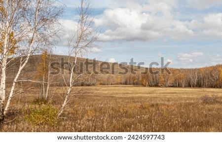 classic landscape, trees and forest against the background of a hill
