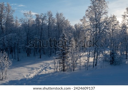 Idyllic panoramic view of a beautiful white winter wonderland scenery in Scandinavia with scenic golden evening light at sunset in winter, northern Europe. Swedish Lapland.