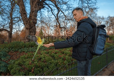 A gentleman clad in a dark jacket is seen offering food to a vibrant yellow and green Ringnecked Parakeet within a serene London park, where bare trees and gentle sunlight subtly hint.