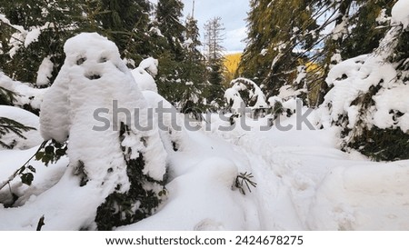 Forest ghost in the form of snow-covered fir trees. Snow on the trees in a fairytale forest. Frosty winter day.