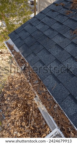 Aerial drone view of residential rain gutter eavestrough filled with pine needles and tree debris