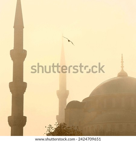 Beautiful picture of the blue mosque of Turkey 