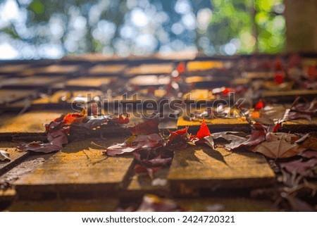 Bright autumn leaves cover the wooden roofs of houses.
deciduous season The forest will change color leaves changing color and 
fell from the tree Cover the ground and rocks Looks strangely beautiful
