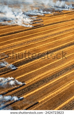 Aerial image of farming in Manitoba, Canada