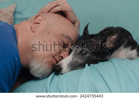 Close-up of a mature, bald man giving an affectionate kiss to his pet, a greyhound resting on the sofa