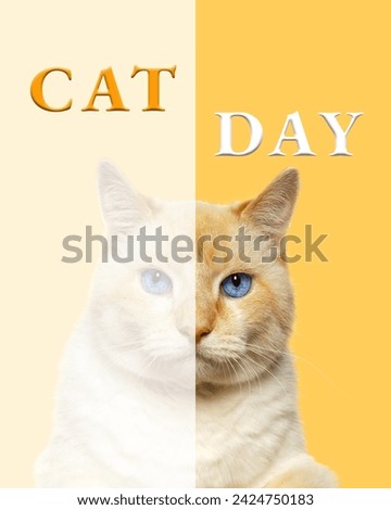 poster International Cat Day August 8th. Red-haired cat with blue eyes looks at the camera. yellow background. Royalty-Free Stock Photo #2424750183