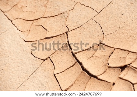Witness the remnants of nature's resilience as it endures harsh conditions, leaving behind a scorched and fragmented landscape. Nature Survives Royalty-Free Stock Photo #2424787699