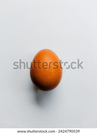 
egg pictures, chicken egg pictures, eggs, egg pictures