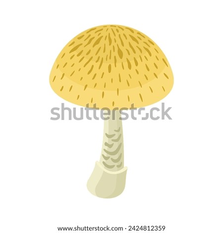 Death Cap poisonous mushroom realistic flat style vector illustration Royalty-Free Stock Photo #2424812359