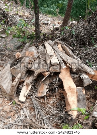 lifting wood in the forest for house building materials and fire wood