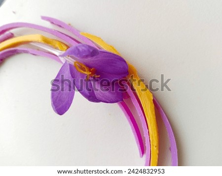 snowdrop bush flowers, crocus, stem, spring, sun, flower, grass, earth, flowerbed, city,family, food
Woman, International Women's Day, lifestyle, logo,
Background - Abstraction, Texture, Watercolor, c