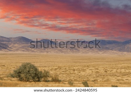 Steppe, prairie, plain, pampa. Beautiful sunset sky. Majestic mountains towering over a serene oasis in the desert - a sight worth seeing! Nature Lovers Desert Dreams Royalty-Free Stock Photo #2424840595