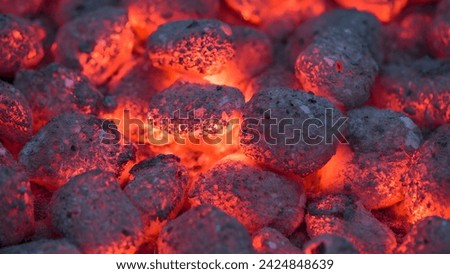 Macro burn charcoal colorful texture