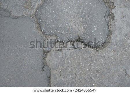 a green beetle crawls on the asphalt