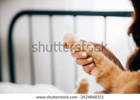 In a harmonious atmosphere, a woman holds her cat's paw as it rests comfortably in her lap, showcasing the neat bond and togetherness they share, a picture of harmony and care. Pat love