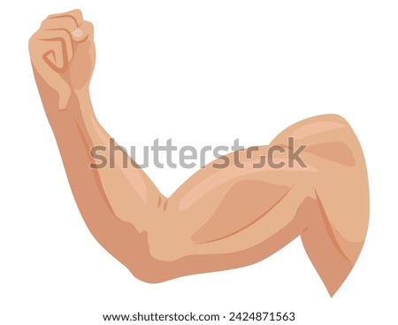 Male biceps muscles icons set. Sportsman arm with strong biceps. Vector symbol of healthy power. Athletic body with tense muscles hand isolated onwhite background Royalty-Free Stock Photo #2424871563