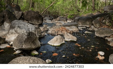 Pictures of gray-brown rocks and natural hot springs flowing in a green forest look beautiful in a tropical landscape.