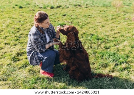 Cheerful happy young woman playing with her dog in the yard of the house in summer. Beautiful Irish Setter dog is sitting in grass. Domestic animals concept Royalty-Free Stock Photo #2424885021