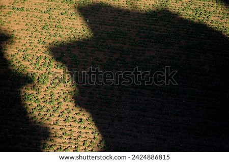 Urbanization and decreasing agricultural land Royalty-Free Stock Photo #2424886815