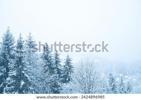 
winter mountain landscape. many Christmas trees in the snow and among them village houses