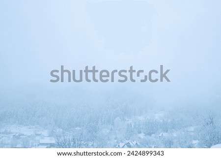 winter mountain landscape in the fog. many Christmas trees in the snow and among them village houses