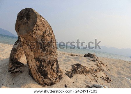 white sand beach in the sea, blue sky and logs in the sand