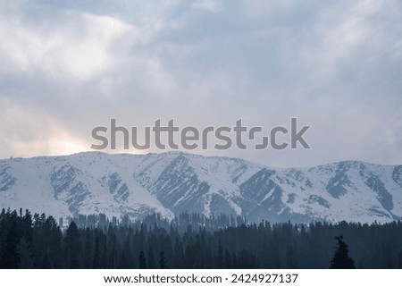 Himalayan mountain covered with snow and alpine trees, India travel and tourism landscape photo, Winter scenery from Gulmarg Kashmir