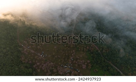 Aerial Drone Shot of mist in Valley with sunset and view of coastal town and trees and buildings early morning