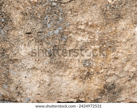High Resolution on Cement and Concrete texture for pattern and background.	