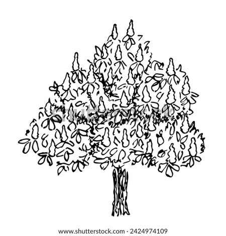 Blooming chestnut tree, nature and vegetation, forest. Spring time, landscape. Simple vector drawing with black outline. Sketch in ink.
