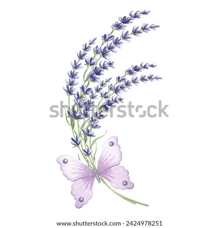 Sprig of lavender flowers with violet butterfly, watercolor illustration. Isolated hand drawn provence floral bouquet. Vintage botanical drawing template for cards, tableware and textile, embroidery.