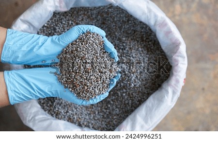 Farmer giving granulated fertilizer to young tomato plants. Hand in glove holding shovel and fertilize seedling in organic garden. Royalty-Free Stock Photo #2424996251