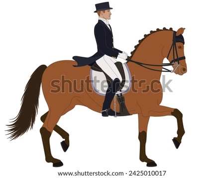 equestrian dressage, upper level horse with male rider in formal dress isolated on a white background Royalty-Free Stock Photo #2425010017