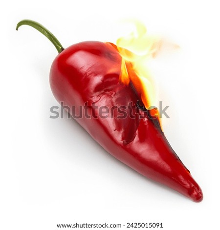 Dramatic Burning Red Hot Chili Paprika Pepper - Isolated White Background Stock Photo with Flames, Perfect for Spicy Recipes