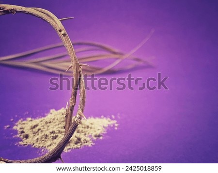 Lent Season, Holy Week, Ash Wednesday, Palm Sunday and Good Friday concepts. Close up crown of thorns with blurry palm leaf and heap of ash in purple background. Stock photo.