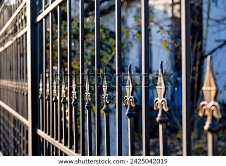 Close up of wrought iron fence with house in the background.