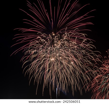 Colorful fireworks exploding in the night sky