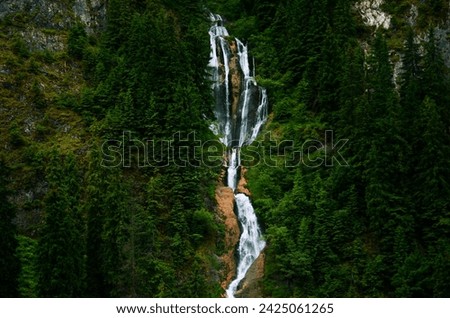 The longest waterfall in Romania, Cascade Cailor or Horses Waterfall. the locals have named this waterfall as the horse waterfall. Placed in Borșa, Maramures. Royalty-Free Stock Photo #2425061265
