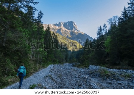 Hiker woman with panoramic view of majestic mountain peak Foelzstein in untamed Hochschwab mountain region, Styria, Austria. Scenic hiking trail on in remote Austrian Alps. Wanderlust in alpine summer Royalty-Free Stock Photo #2425068937