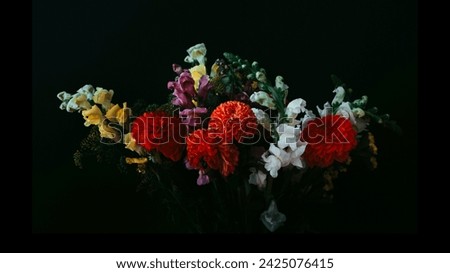 beautiful flower presentation with black background