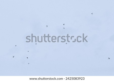 Airborne forces paratroopers soaring holding Flag of Russia and flags of military units, military exercise for celebration of Airborne Forces Day with formation landing, army airborne division descend Royalty-Free Stock Photo #2425083923