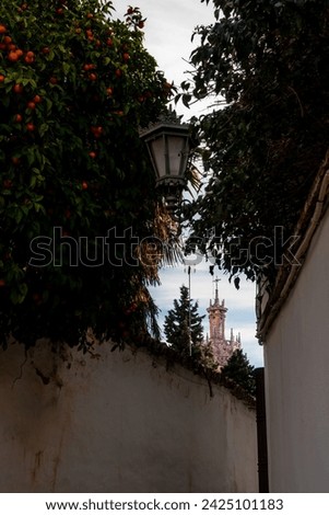 Typical andalusian alley in Ronda, Malaga, Spain. Santa Maria la Mayor tower church at the back of the picture.