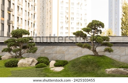 Beauiful outdoors gardening decoration near modern office building, outdoor gardening image for corporate buildings concept. Royalty-Free Stock Photo #2425103455