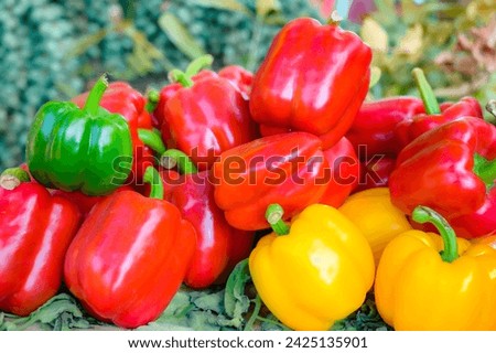 Stock of bell peppers for sale at Chiang Mai Province, Thailand.
