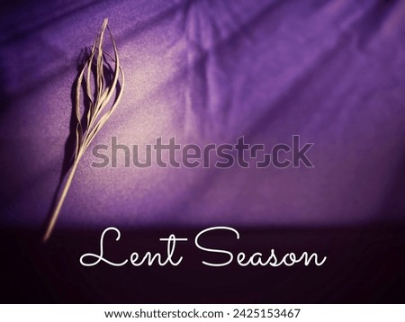 Lent Season, Holy Week, Ash Wednesday, Palm Sunday and Good Friday concepts. Lent Season text with palm leaf with purple background. Stock photo.