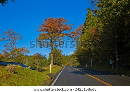The road through Mt. kurikoma area geopark, Miyagi prefecture, Tohoku, Japan. Royalty-Free Stock Photo #2425158663