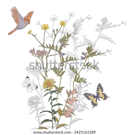 field flowers, bird and butterflies, vector drawing wild plants at white background , hand drawn natural illustration
