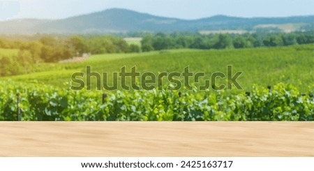 Morning Serenity in a Lush Green Vineyard, Where Rows of Vines Stretch Across the Countryside Under a Blue Sky with Puffy Clouds – a Tranquil Agricultural Landscape in Spring Royalty-Free Stock Photo #2425163717