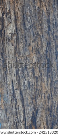 Old tree texture. Bark pattern, For background wood work, Bark of brown hardwood, thick bark hardwood, residential house wood. nature, tree, bark, hardwood, trunk, tree , tree trunk close up texture Royalty-Free Stock Photo #2425183203